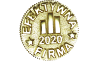 Efektywna Firma 2020