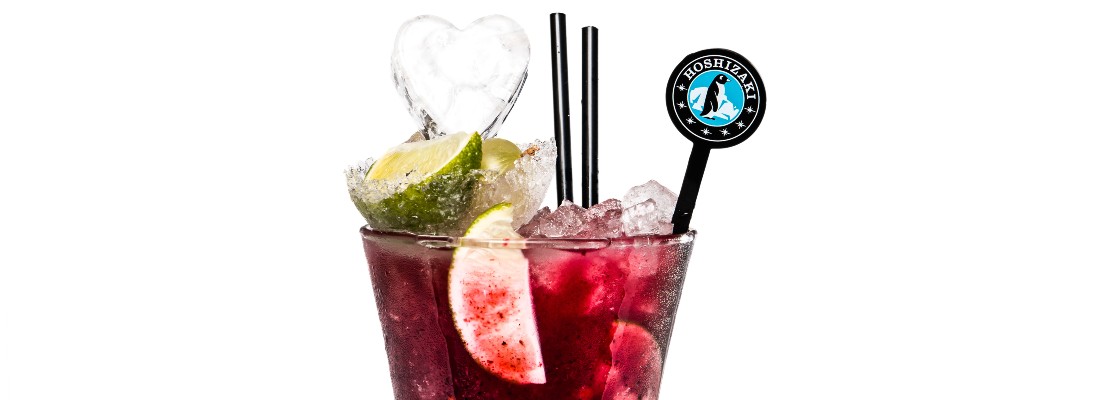 Hoshizaki lód kolor