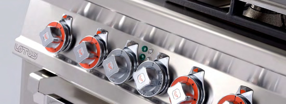 LOTUS ITALIAN CULINARY ART LOTUS ITALIAN CULINARY ART